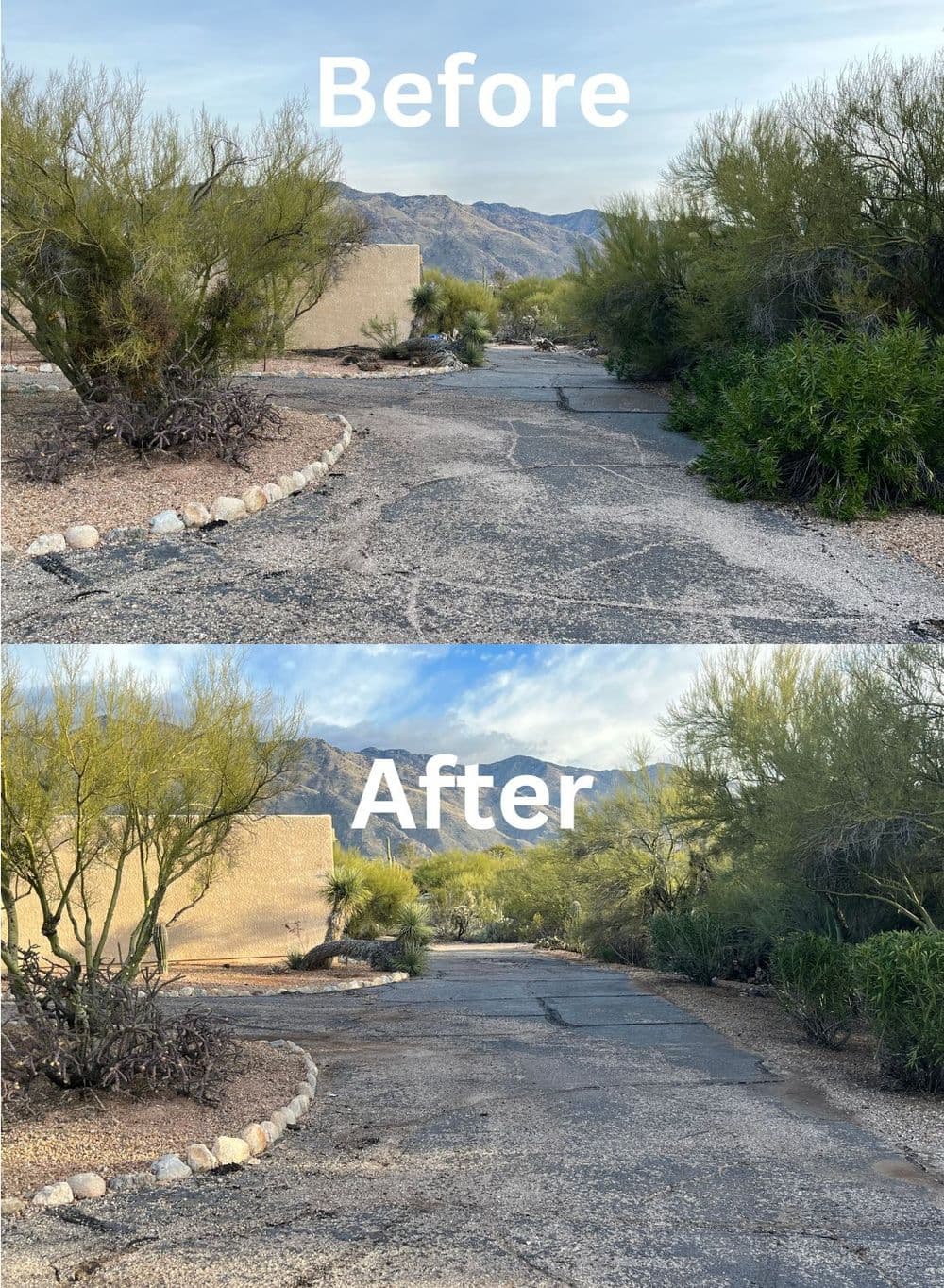 Before and after transformation of a desert landscape with improved vegetation and pathway.