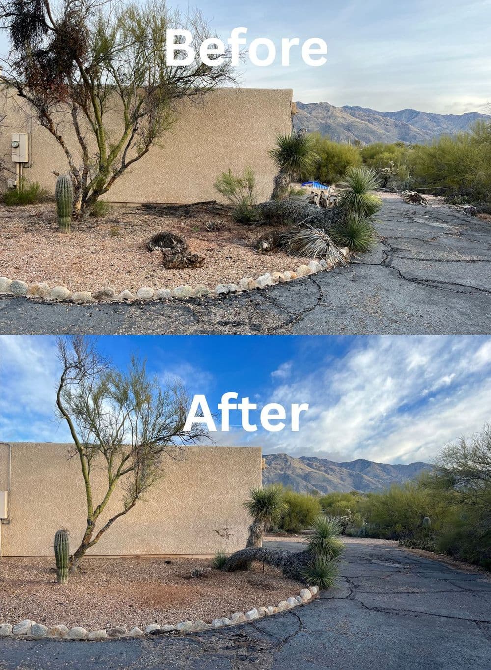 Before and after landscape transformation, showcasing improved desert vegetation and cleanup.