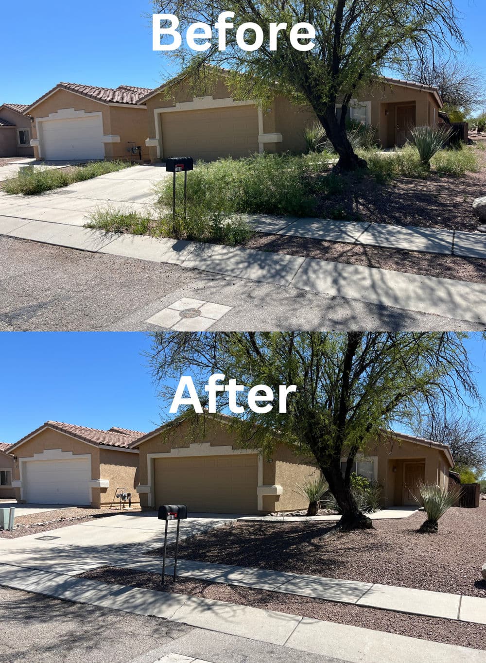 Before and after photos of a house showing yard renovation and landscaping improvements.