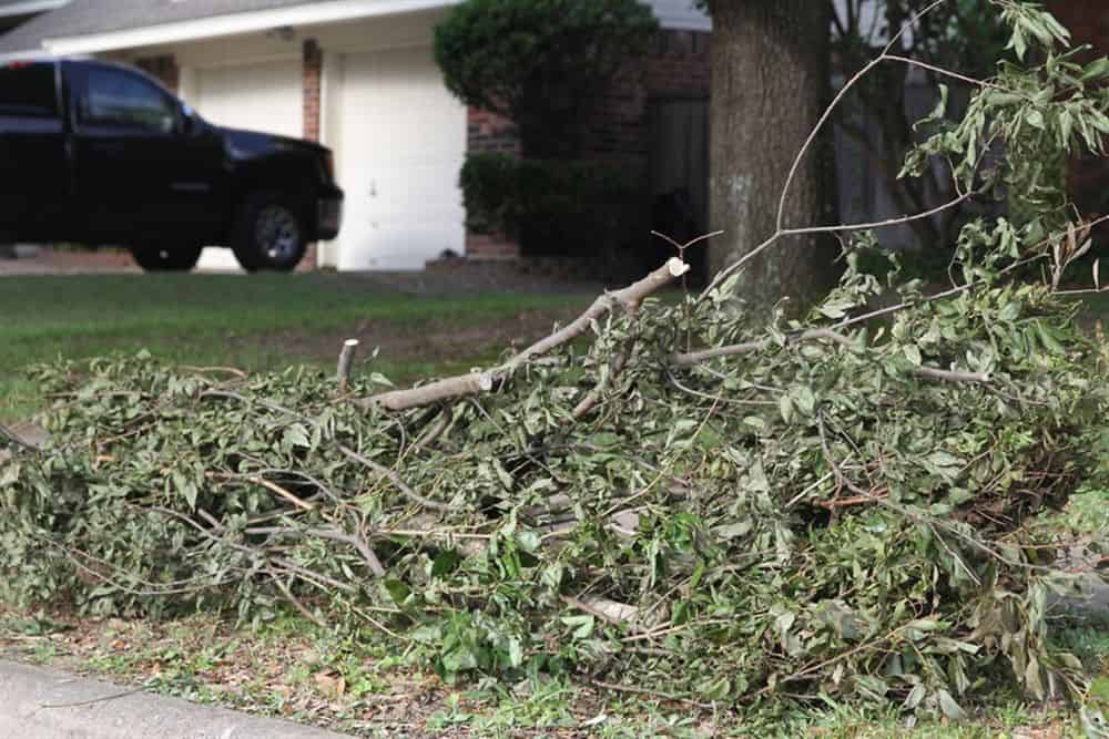 Debris & Brush Removal image
