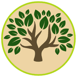 Desert Garden Services