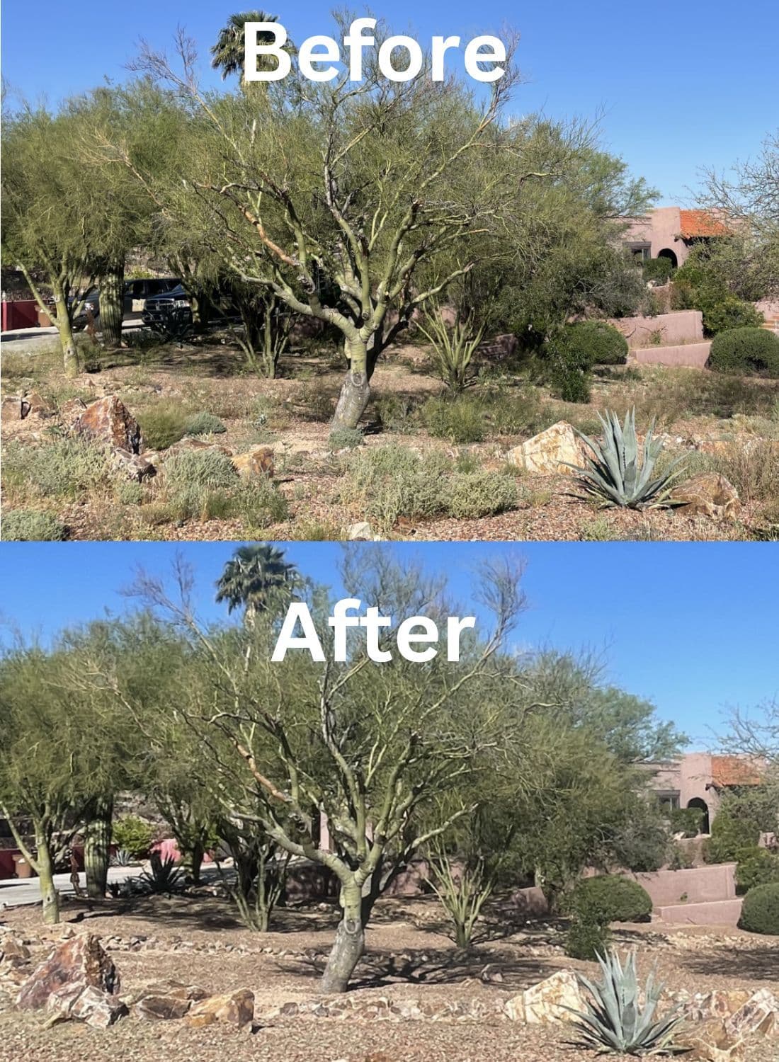 Project Front Yard Cleanup in Oro Valley image