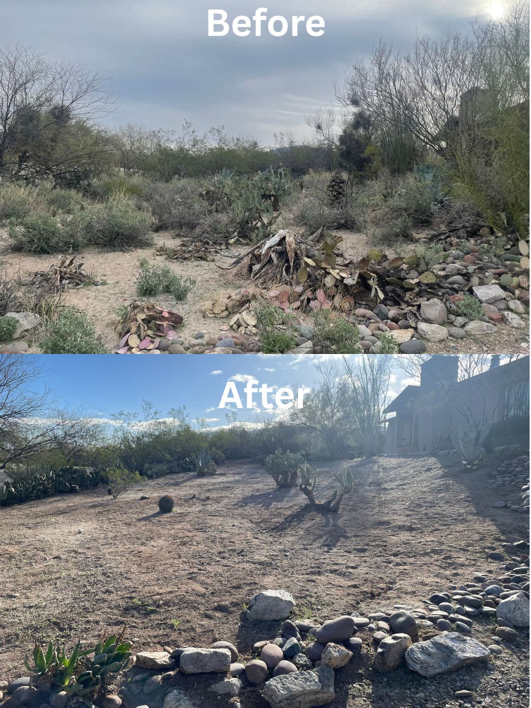 Project Desert Cleanup in Tanque Verde Delivers Stunning Transformation image