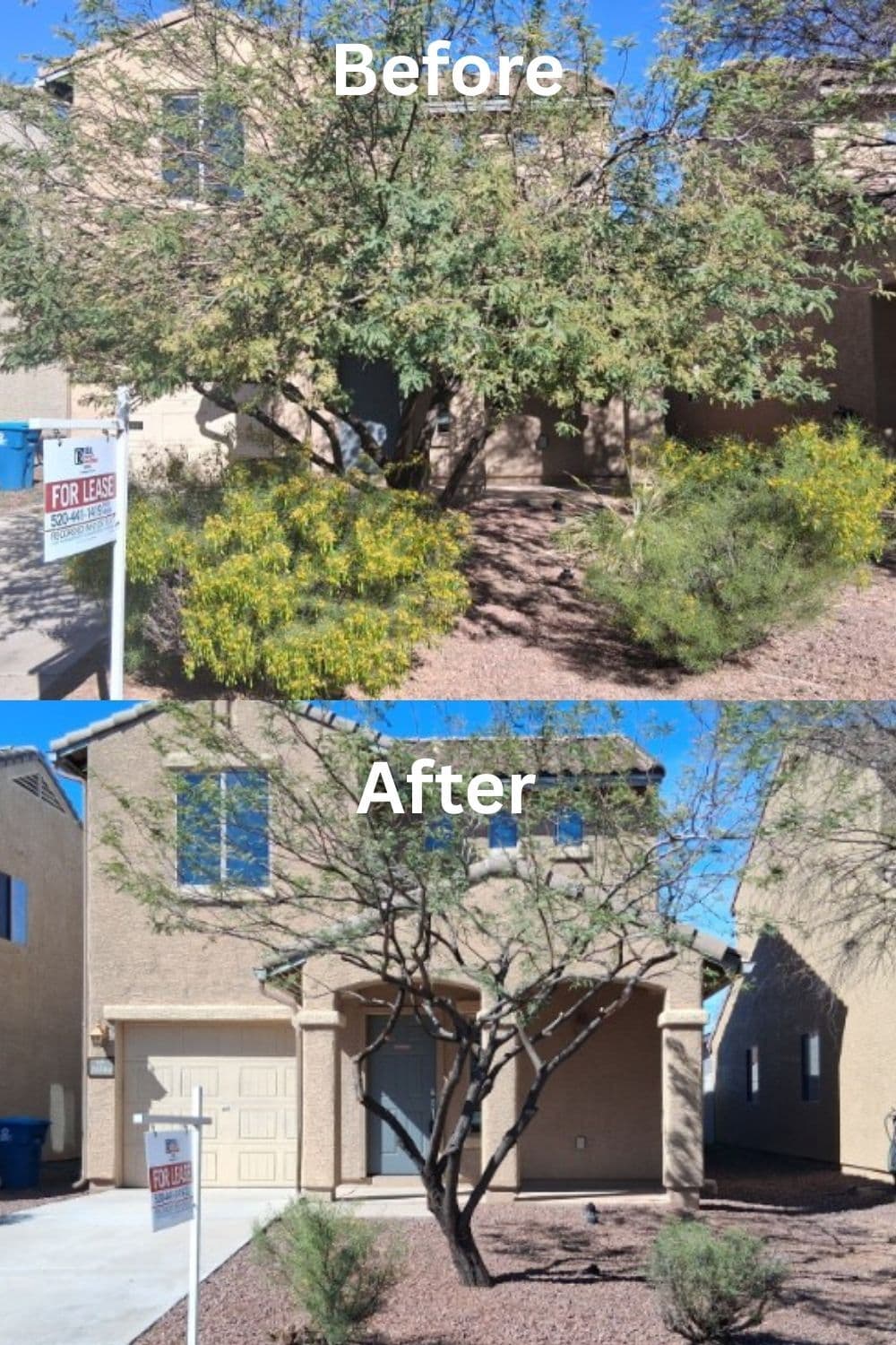 Project Rental Turnover Cleanups From Vail to Red Rock image