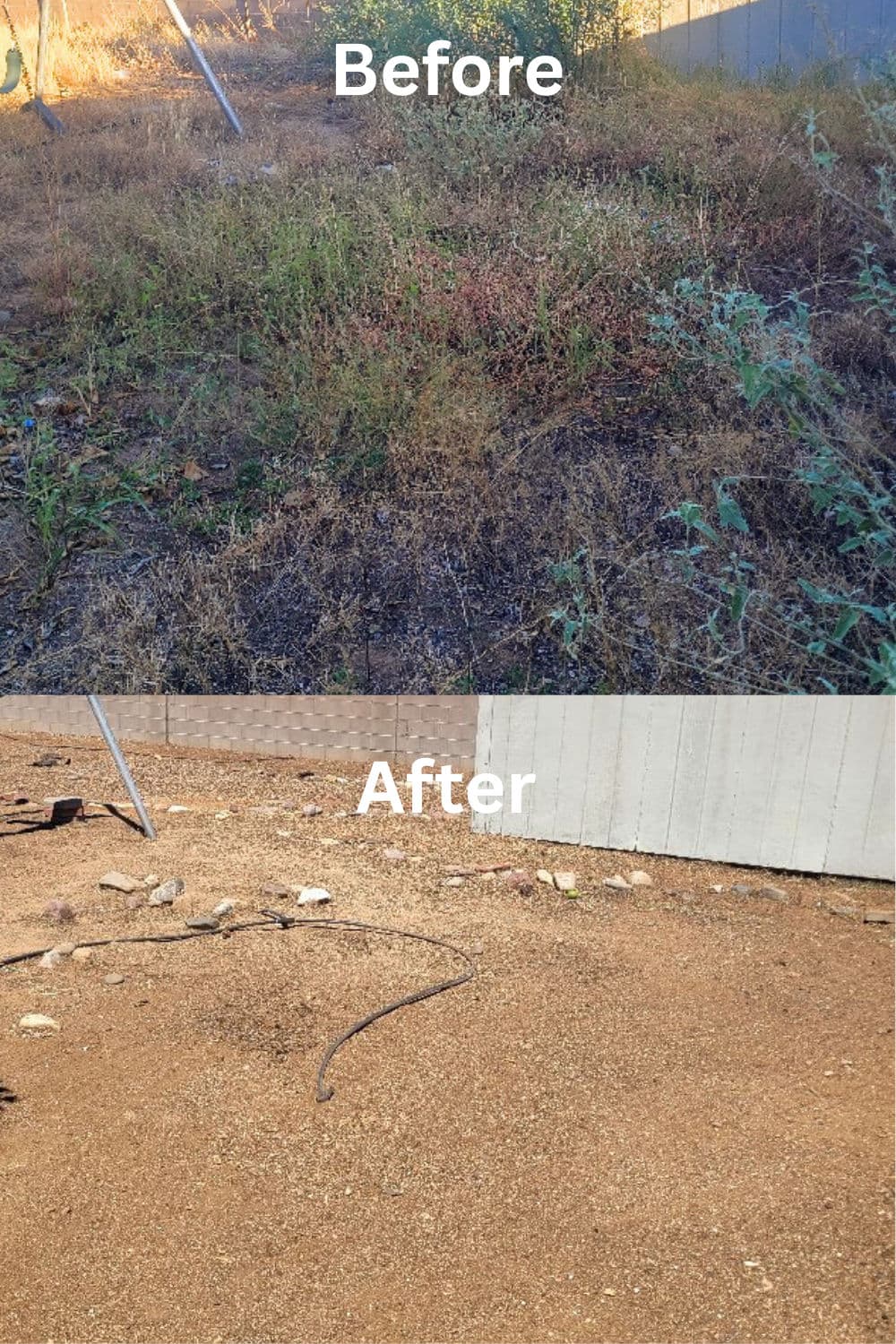 Gallery photos for Weed Removal and Overgrown Yard Cleanup in Flowing Wells: Image #1