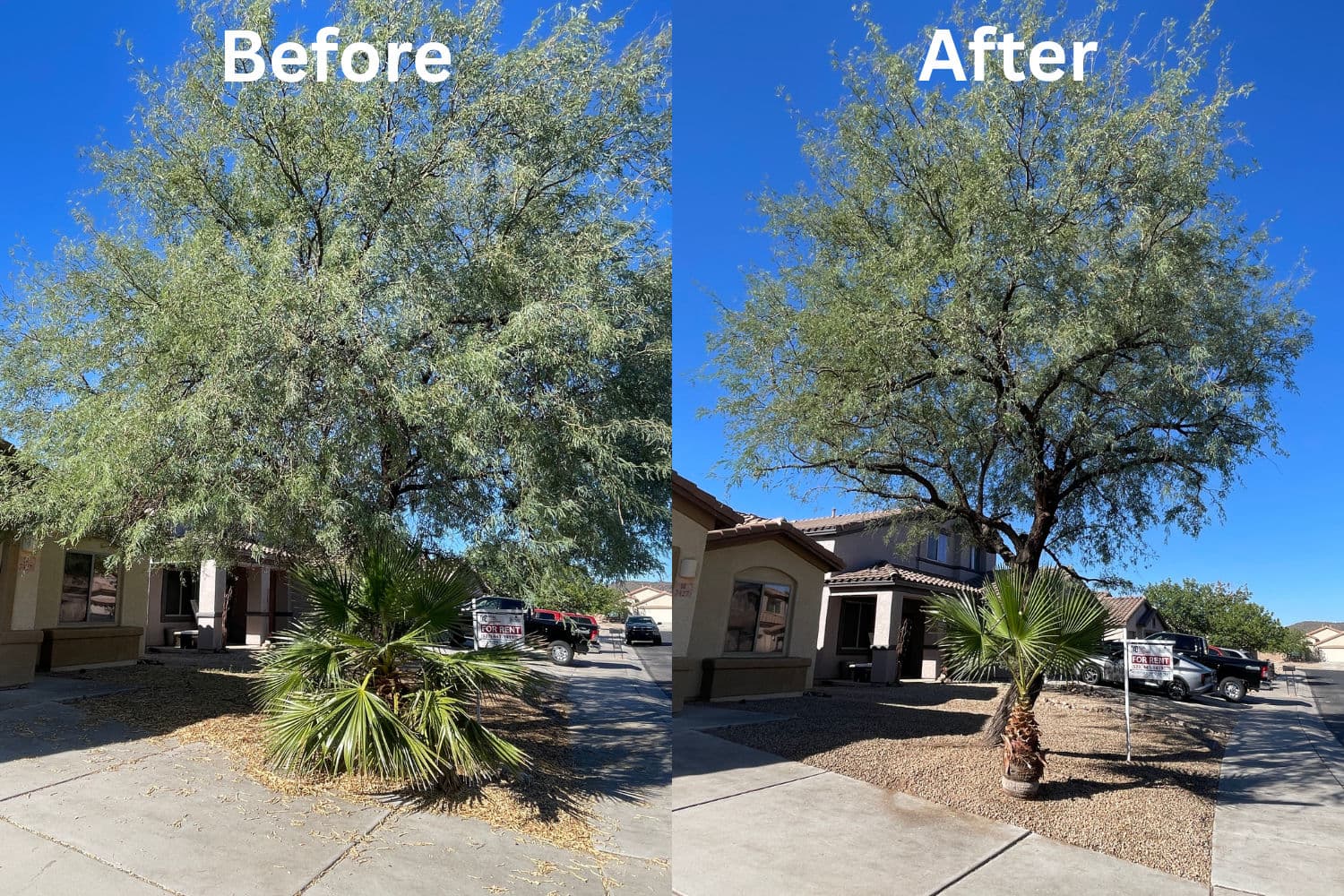 Project Kleindale Yard Service Excellence image