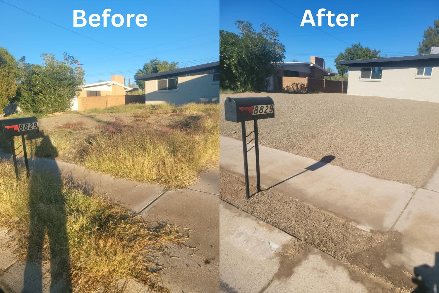 Project Tucson Yard Cleanup Mastery image