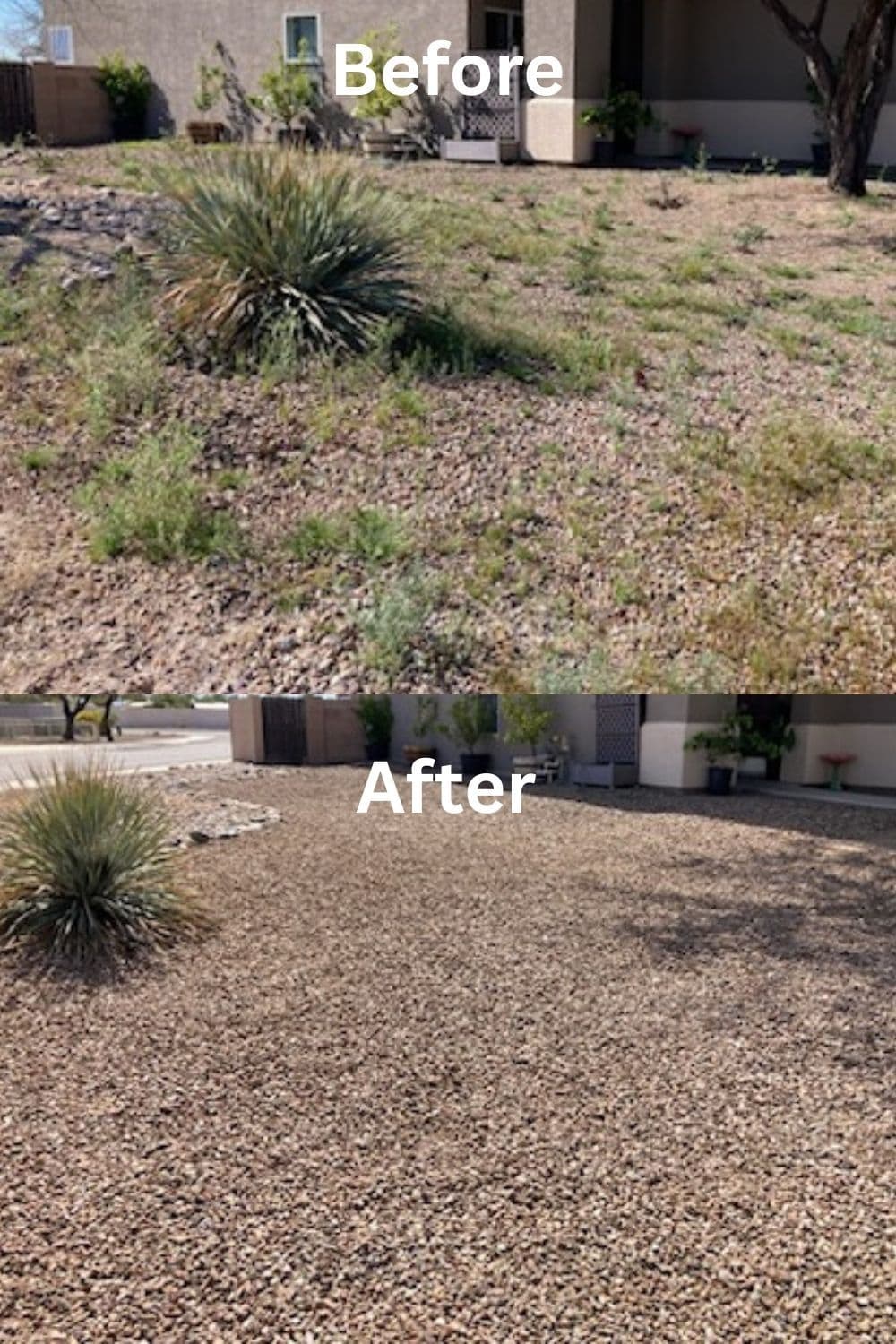 Weed Removal and Overgrown Yard Cleanup in Flowing Wells image