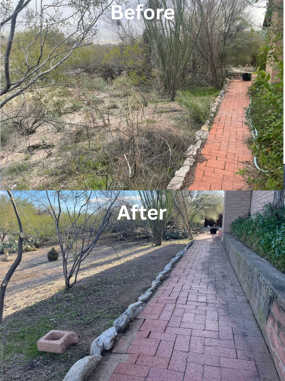 Desert Cleanup in Tanque Verde Delivers Stunning Transformation