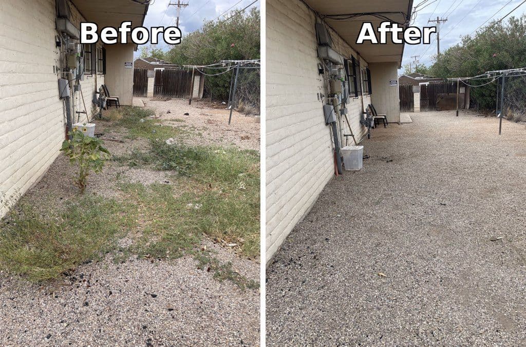 Stunning Yard Transformation for Apartment Clients