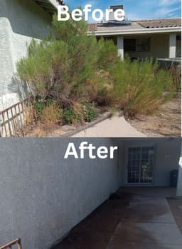 Environmentally Sustainable Practices's image