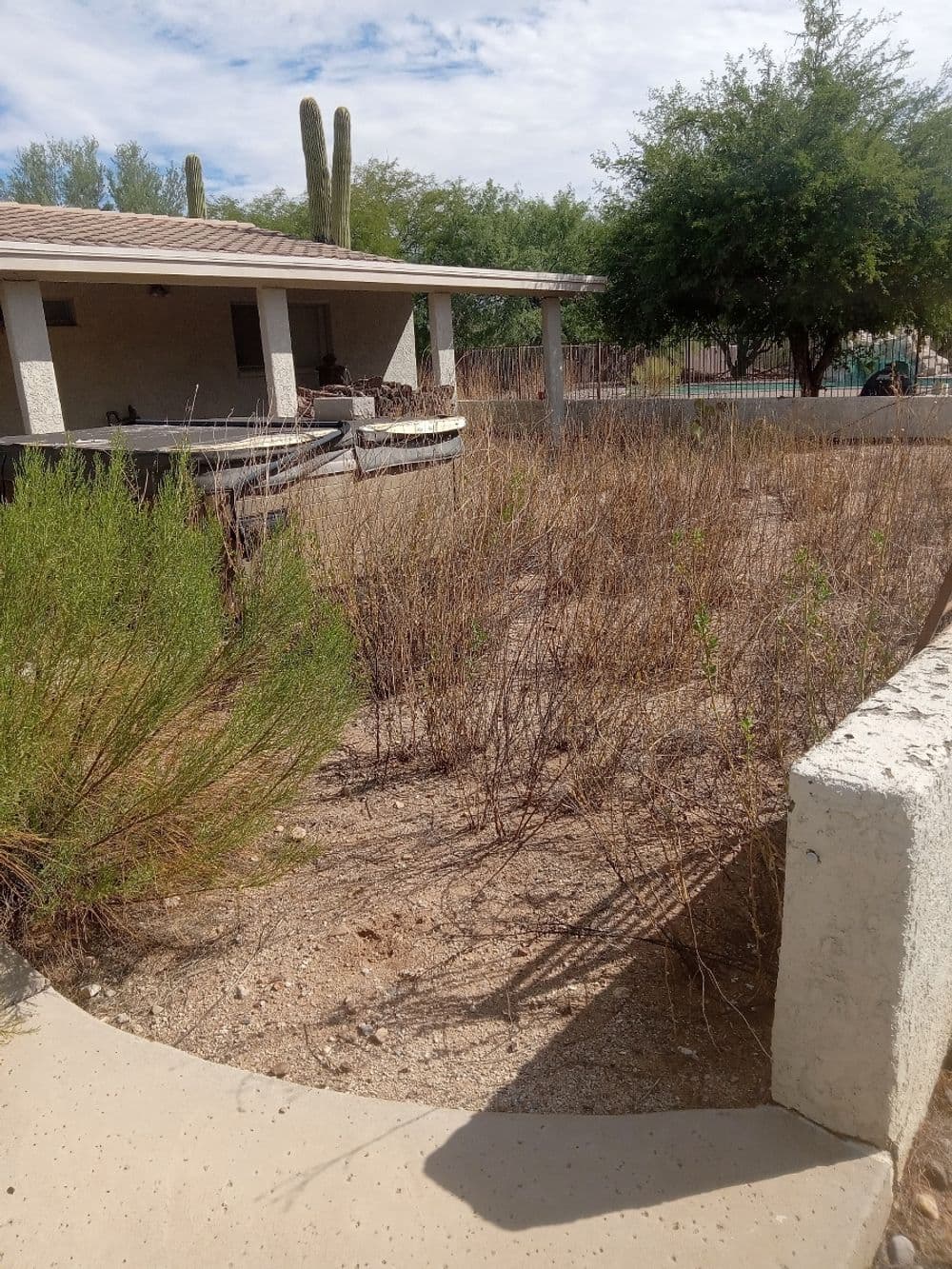 Dry, overgrown yard with desert landscaping and a house in the background under a cloudy sky.