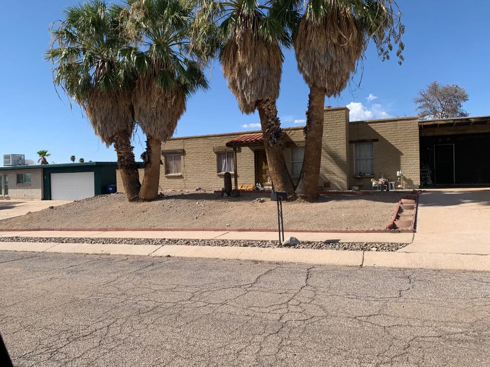 Desert house with palm trees and a gravel yard under a clear blue sky.