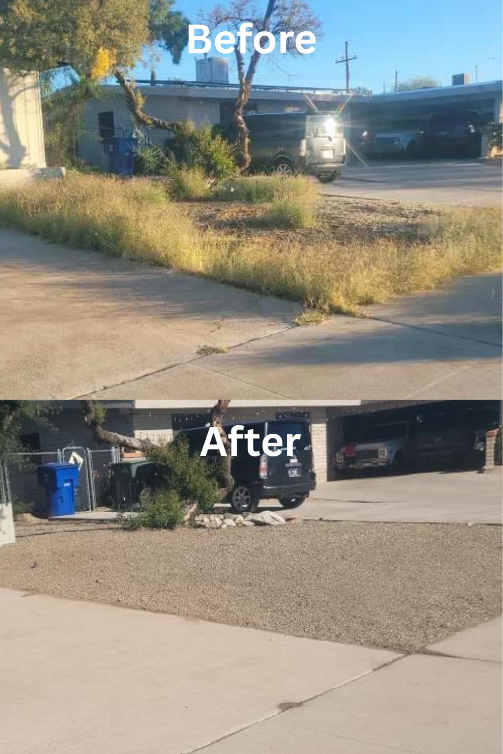 Gallery photos for Tucson Yard Cleanup Mastery: Image #1